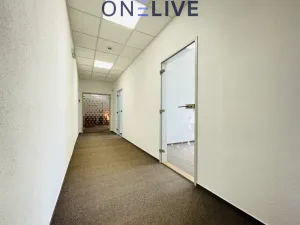 Pronájem kanceláře, Plzeň, náměstí T. G. Masaryka, 365 m2