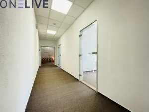 Pronájem kanceláře, Plzeň, náměstí T. G. Masaryka, 365 m2