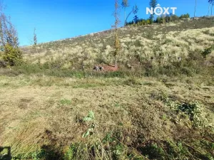 Prodej zahrady, Staré Buky, 2666 m2