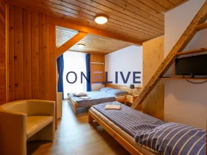 Prodej apartmánu, Železná Ruda - Hojsova Stráž, 500 m2