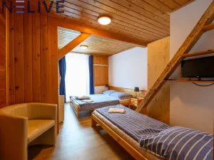 Prodej apartmánu, Železná Ruda - Hojsova Stráž, 500 m2