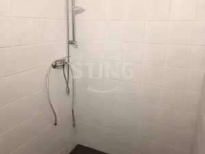 Pronájem výrobních prostor, Vršovice, 316 m2