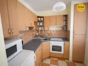 Pronájem bytu 1+kk, Ostrava - Bělský Les, 38 m2