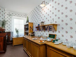 Prodej apartmánu, Přimda, Pod Hradem, 450 m2