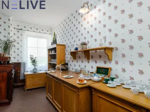 Prodej apartmánu, Přimda, Pod Hradem, 450 m2