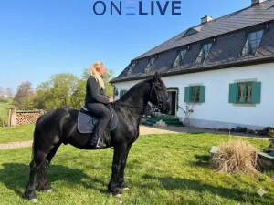 Prodej ubytování, Rozvadov - Svatá Kateřina, 650 m2