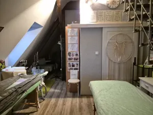 Prodej rodinného domu, Suchdol nad Lužnicí, Pražská, 300 m2