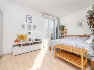 Prodej bytu 1+kk, Praha, U Smetanky, 39 m2