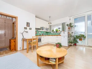 Prodej bytu 1+kk, Praha, U Smetanky, 39 m2