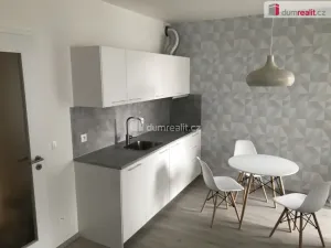 Pronájem bytu 1+kk, Praha - Vysočany, Strnadových, 33 m2