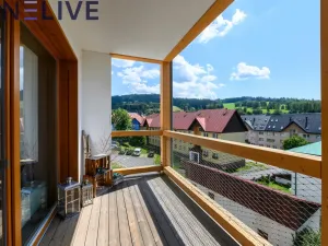 Prodej bytu 3+kk, Železná Ruda, Javorská, 118 m2