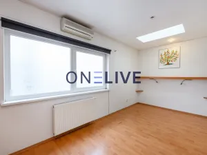 Pronájem bytu 3+1, Praha - Holešovice, 89 m2