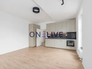 Pronájem bytu 3+kk, Plzeň, Železná, 59 m2