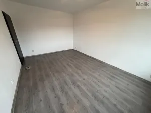 Prodej bytu 2+1, Most, Hutnická, 54 m2