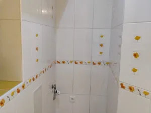 Prodej bytu 2+1, Břidličná, Komenského, 58 m2