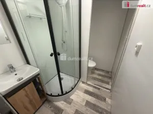 Prodej bytu 1+1, Ústí nad Labem - Střekov, Jeseninova, 36 m2