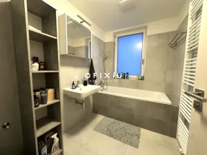 Pronájem bytu 1+kk, Brno - Ponava, Střední, 55 m2