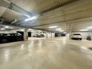 Pronájem bytu 1+kk, Brno - Ponava, Střední, 55 m2