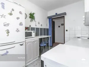 Prodej bytu 3+1, Plzeň - Východní Předměstí, U Prazdroje, 68 m2