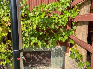 Prodej chaty, Moravské Bránice, 75 m2