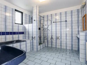 Prodej rodinného domu, Nová Ves, 300 m2