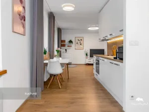 Prodej bytu 2+1, Plzeň - Východní Předměstí, Strnadova, 54 m2