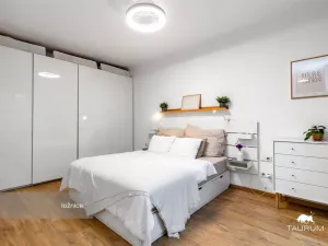 Prodej bytu 2+1, Plzeň - Východní Předměstí, Strnadova, 54 m2