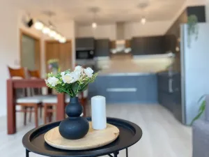 Prodej bytu 2+kk, Olomouc, Černá cesta, 58 m2