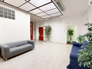 Pronájem obchodního prostoru, Orlová - Lutyně, U Centrumu, 51 m2