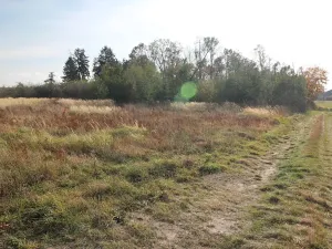 Prodej pozemku, Dolní Břežany, Keltská, 3508 m2