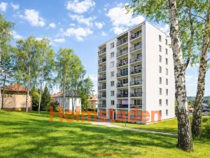 Pronájem bytu 3+1, Albrechtice, Hornická, 70 m2