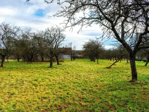 Prodej pozemku pro bydlení, Stádlec, 4550 m2