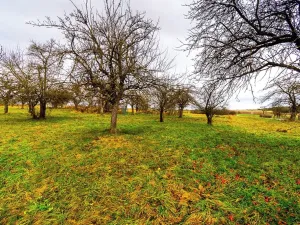 Prodej pozemku pro bydlení, Stádlec, 4550 m2
