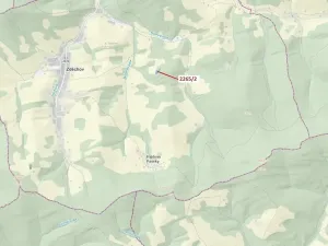 Dražba lesa, Zděchov, 2225 m2