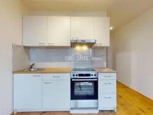 Pronájem bytu 1+1, Chomutov, 17. listopadu, 33 m2