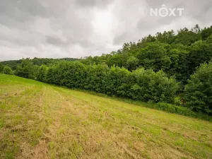 Prodej pozemku pro bydlení, Bratrušov, 2853 m2