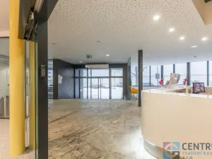 Pronájem obchodního prostoru, Praha - Holešovice, U Pergamenky, 66 m2