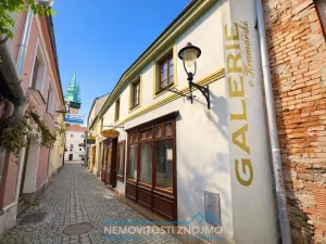 Pronájem komerční nemovitosti, Znojmo, Kramářská, 100 m2