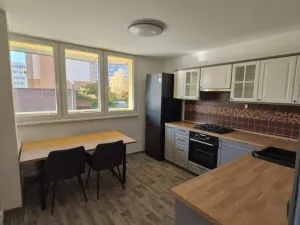 Pronájem bytu 1+1, Opava - Kateřinky, Holasická, 35 m2