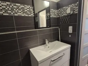 Pronájem bytu 1+1, Opava - Kateřinky, Holasická, 35 m2