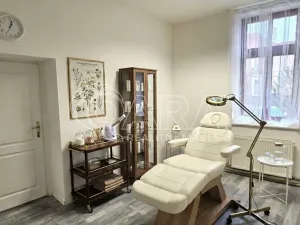 Pronájem obchodního prostoru, Králův Dvůr - Počaply, Plzeňská, 18 m2