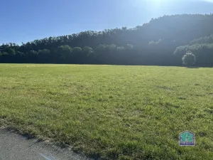 Prodej louky, Plzeň - Božkov, 2000 m2