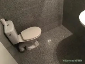 Pronájem bytu 1+kk, Praha - Vysočany, Freyova, 22 m2