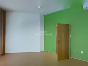 Pronájem skladu, Brno - Dolní Heršpice, Vídeňská, 170 m2