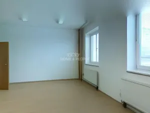 Pronájem skladu, Brno - Dolní Heršpice, Vídeňská, 170 m2