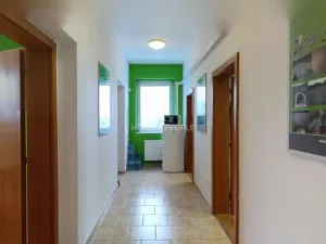 Pronájem skladu, Brno - Dolní Heršpice, Vídeňská, 170 m2