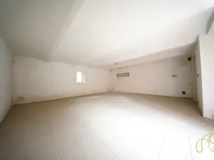 Prodej rodinného domu, Budišov, 678 m2