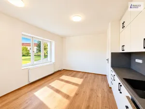 Prodej komerční nemovitosti, Nečín, 218 m2