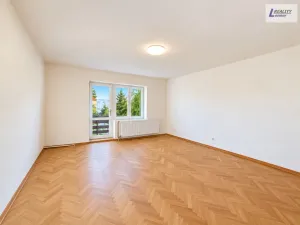 Prodej komerční nemovitosti, Nečín, 218 m2