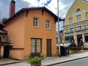 Prodej bytu 1+kk, Janské Lázně, Lázeňská, 37 m2